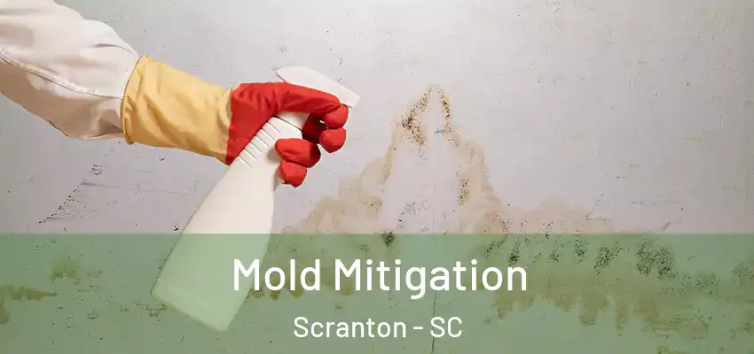  Mold Mitigation Scranton - SC