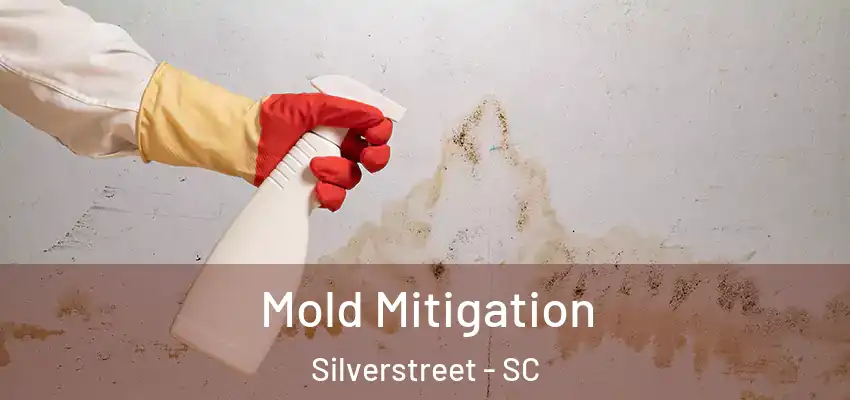 Mold Mitigation Silverstreet - SC