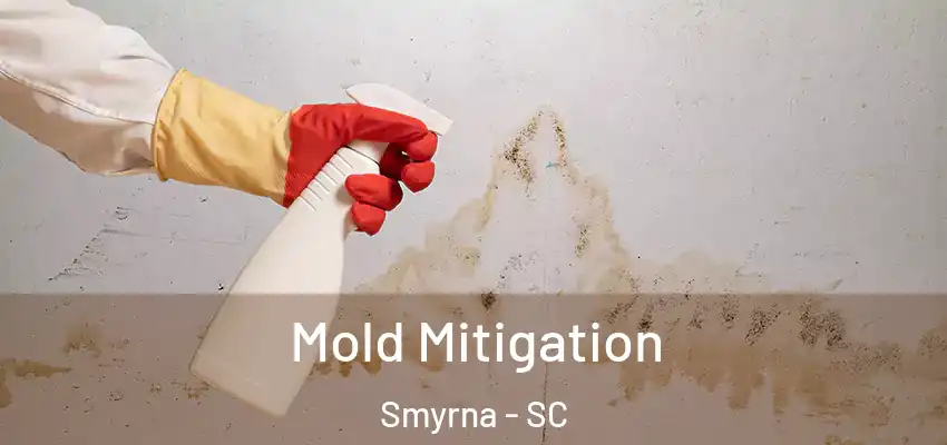  Mold Mitigation Smyrna - SC