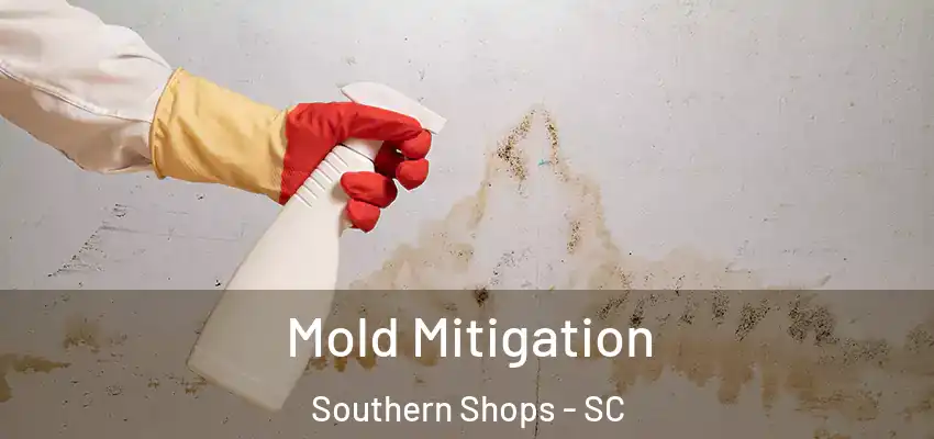  Mold Mitigation Southern Shops - SC