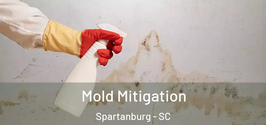 Mold Mitigation Spartanburg - SC