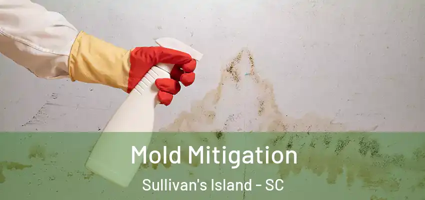 Mold Mitigation Sullivan's Island - SC