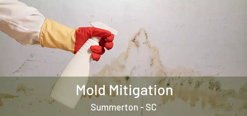 Mold Mitigation Summerton - SC