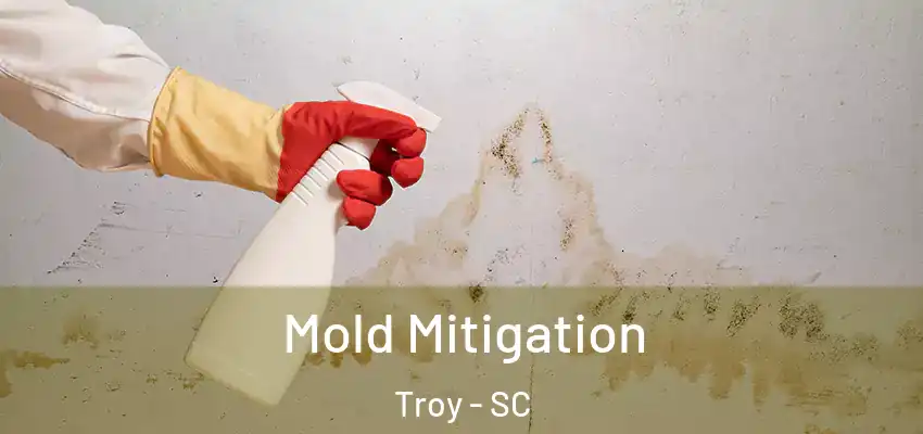 Mold Mitigation Troy - SC