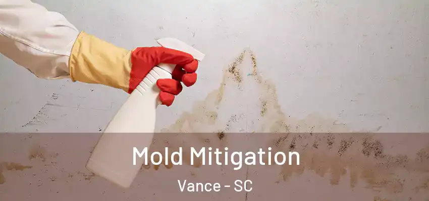  Mold Mitigation Vance - SC