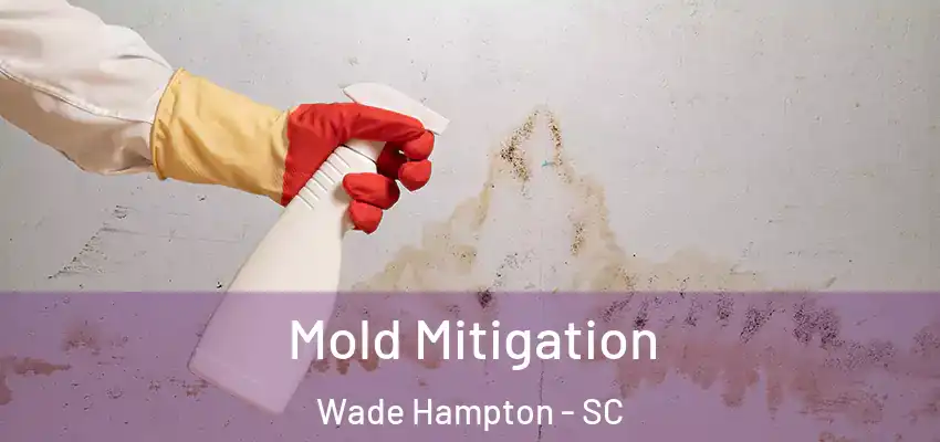  Mold Mitigation Wade Hampton - SC