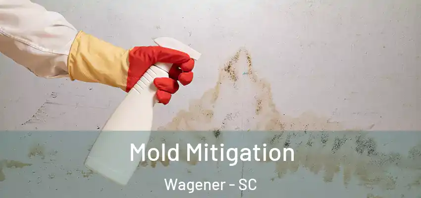  Mold Mitigation Wagener - SC