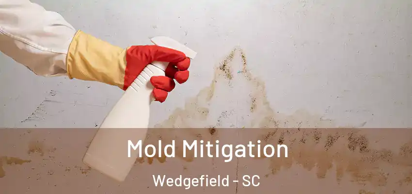 Mold Mitigation Wedgefield - SC