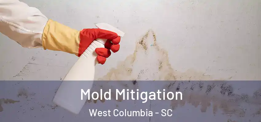  Mold Mitigation West Columbia - SC