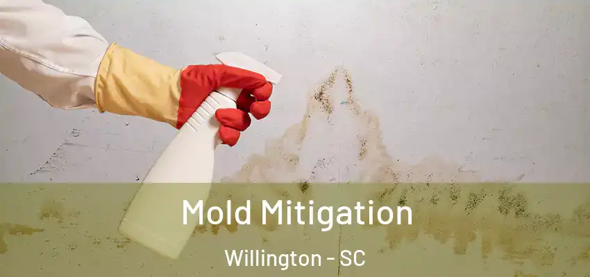  Mold Mitigation Willington - SC