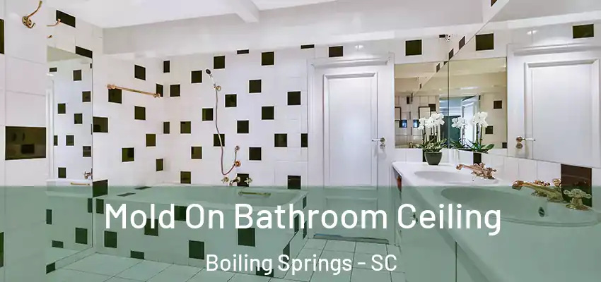 Mold On Bathroom Ceiling Boiling Springs - SC