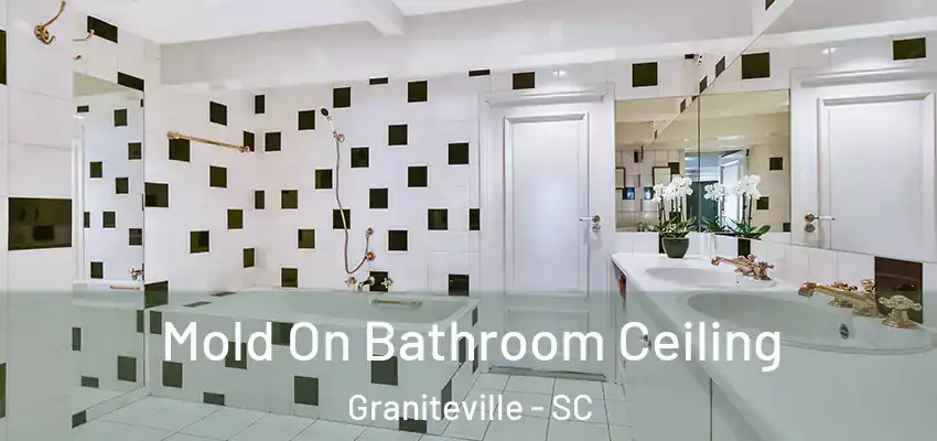  Mold On Bathroom Ceiling Graniteville - SC