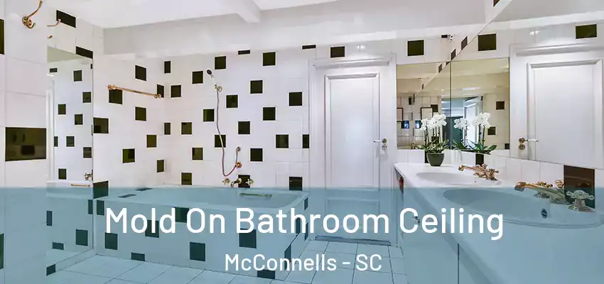  Mold On Bathroom Ceiling McConnells - SC