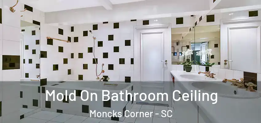 Mold On Bathroom Ceiling Moncks Corner - SC