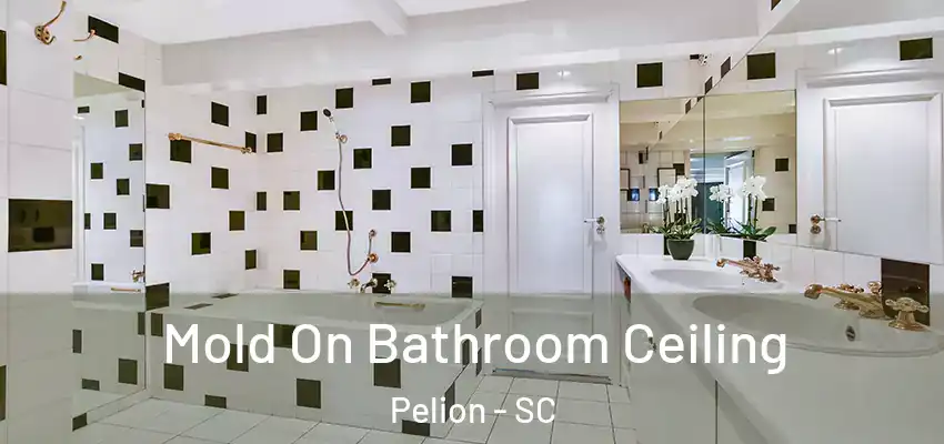 Mold On Bathroom Ceiling Pelion - SC