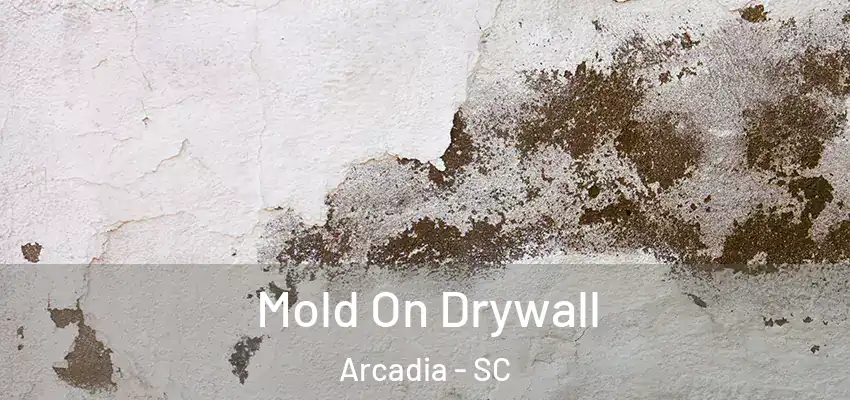 Mold On Drywall Arcadia - SC