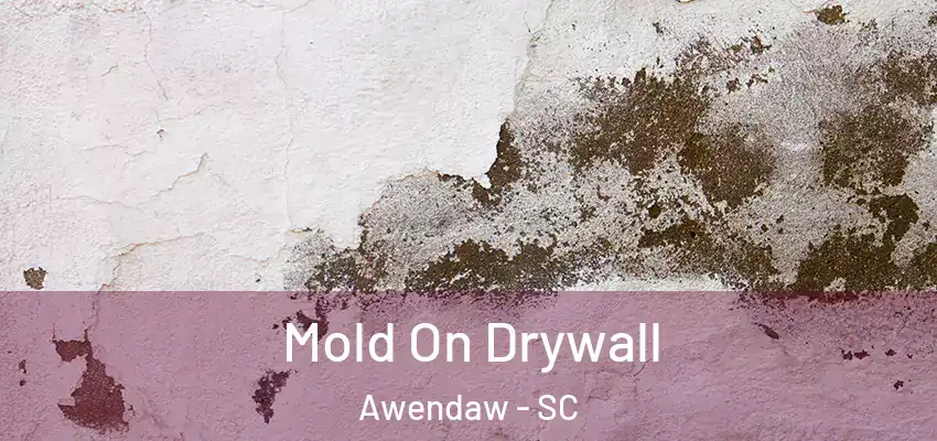 Mold On Drywall Awendaw - SC