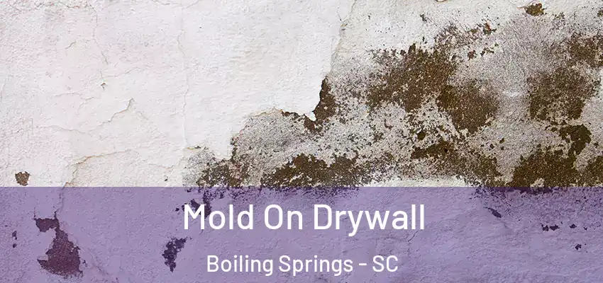 Mold On Drywall Boiling Springs - SC
