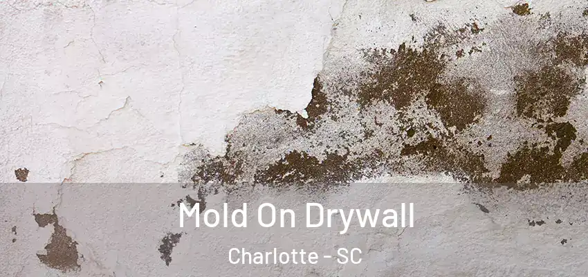  Mold On Drywall Charlotte - SC