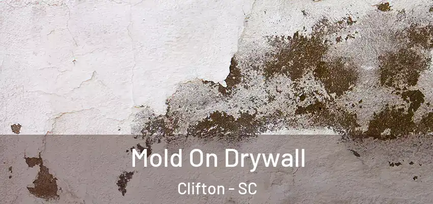  Mold On Drywall Clifton - SC