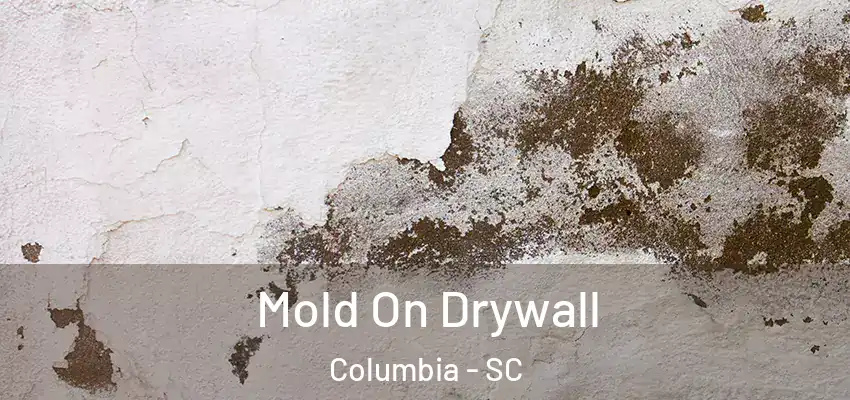 Mold On Drywall Columbia - SC