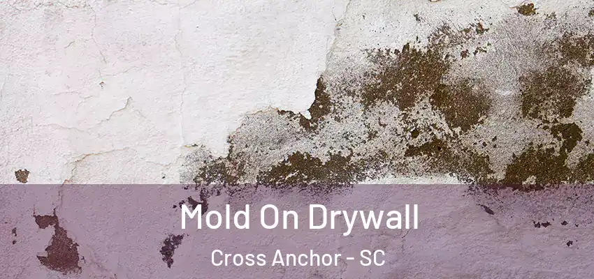 Mold On Drywall Cross Anchor - SC