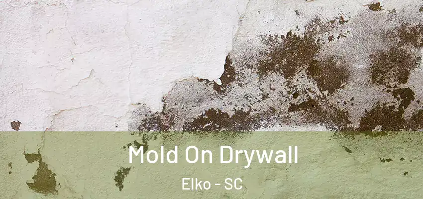 Mold On Drywall Elko - SC