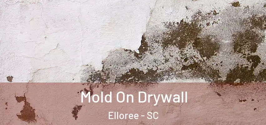 Mold On Drywall Elloree - SC