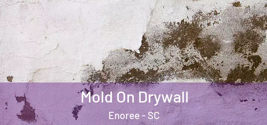 Mold On Drywall Enoree - SC