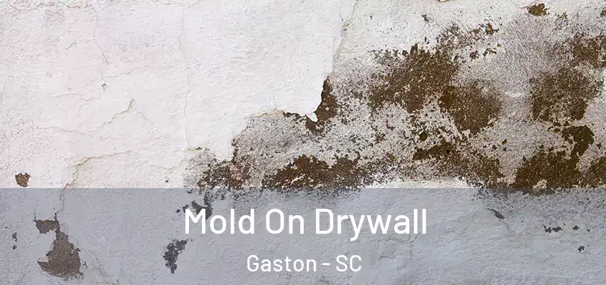  Mold On Drywall Gaston - SC