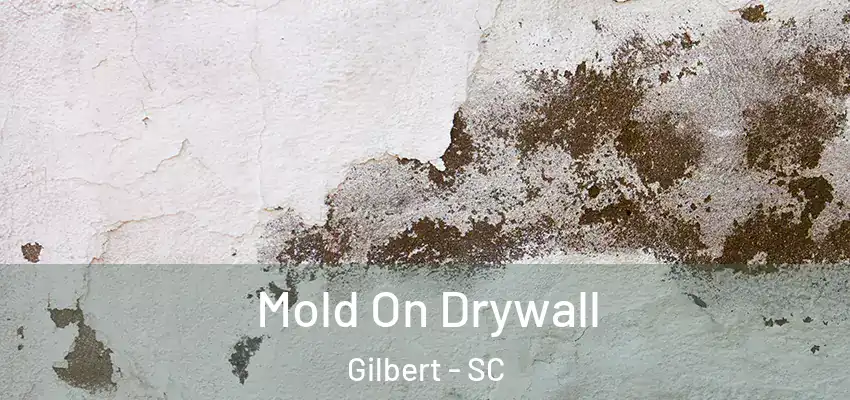Mold On Drywall Gilbert - SC