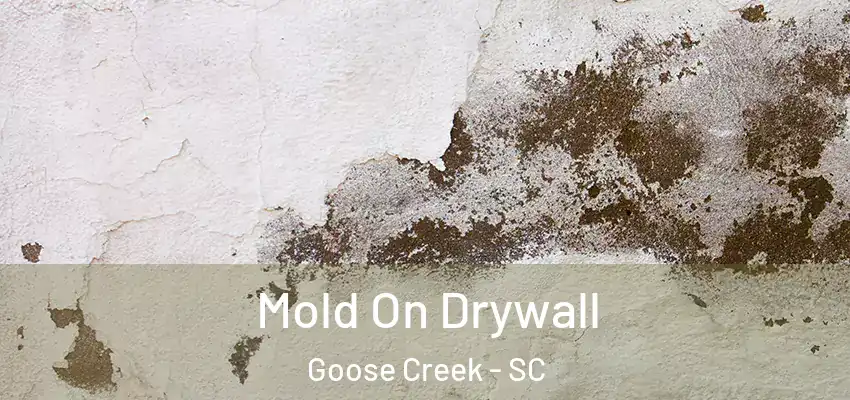 Mold On Drywall Goose Creek - SC