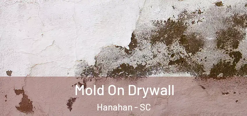  Mold On Drywall Hanahan - SC