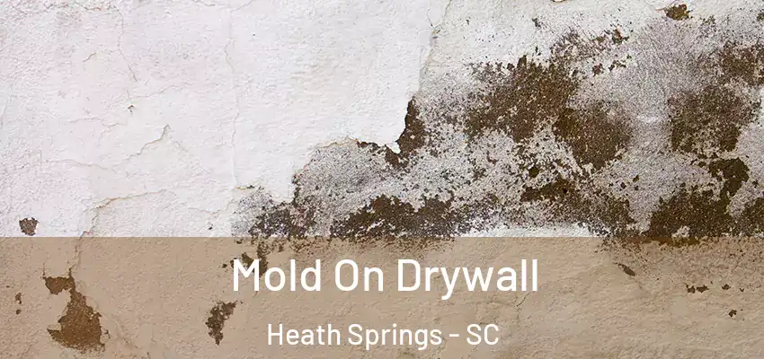 Mold On Drywall Heath Springs - SC
