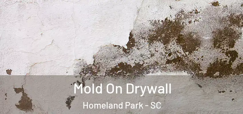  Mold On Drywall Homeland Park - SC