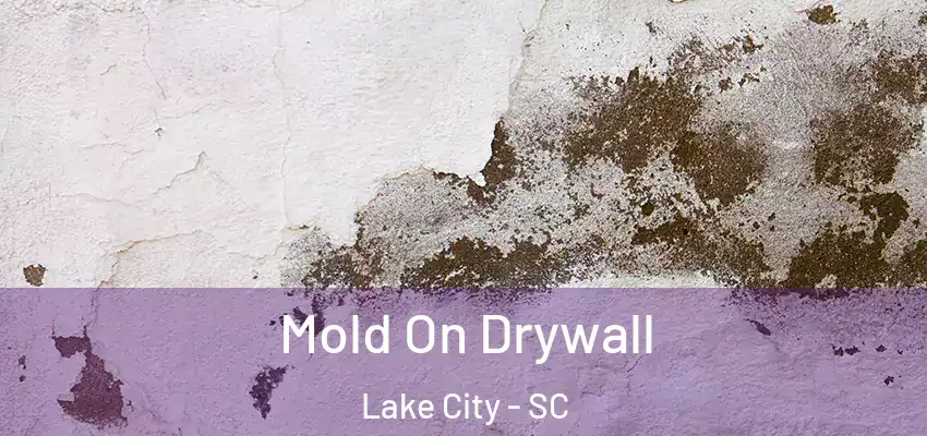 Mold On Drywall Lake City - SC