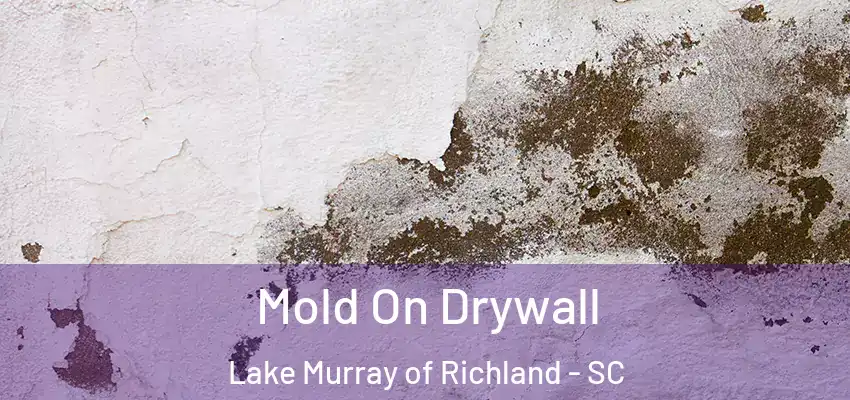 Mold On Drywall Lake Murray of Richland - SC