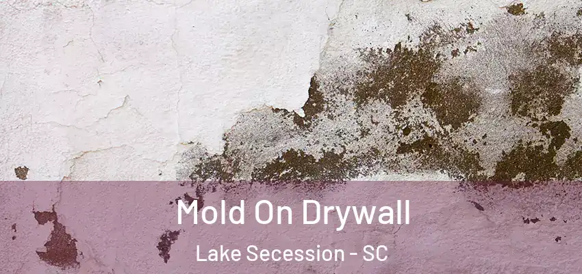 Mold On Drywall Lake Secession - SC