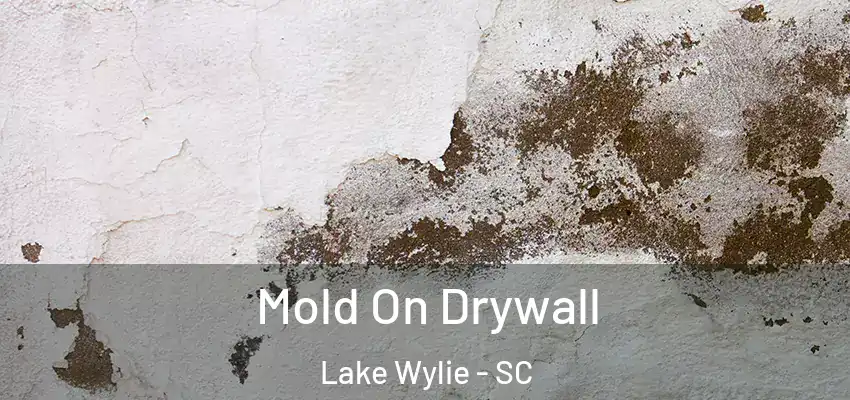  Mold On Drywall Lake Wylie - SC