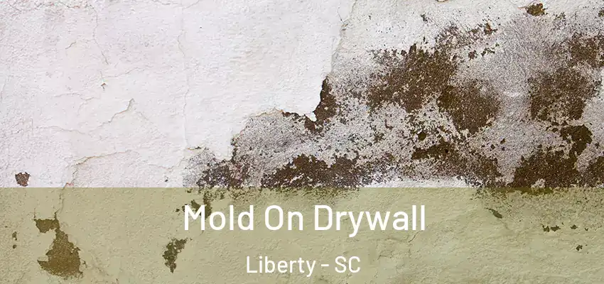  Mold On Drywall Liberty - SC