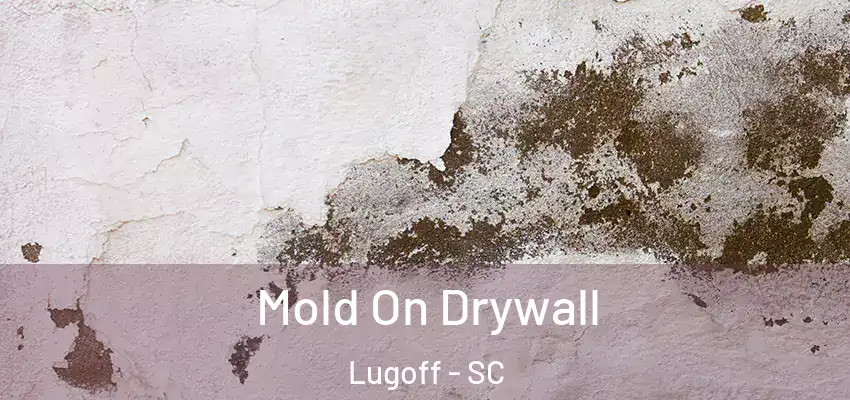  Mold On Drywall Lugoff - SC