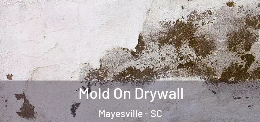 Mold On Drywall Mayesville - SC