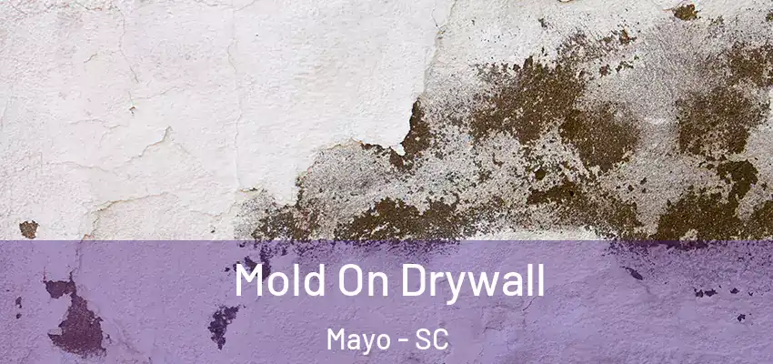  Mold On Drywall Mayo - SC