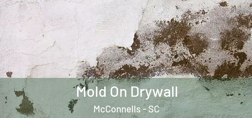  Mold On Drywall McConnells - SC