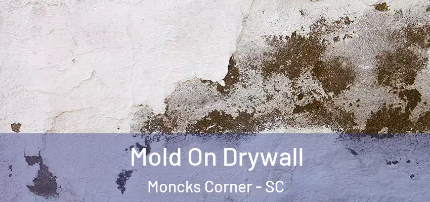 Mold On Drywall Moncks Corner - SC