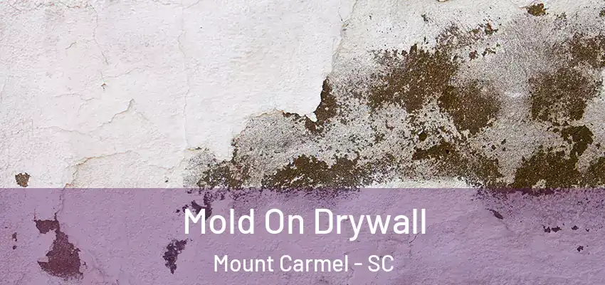  Mold On Drywall Mount Carmel - SC