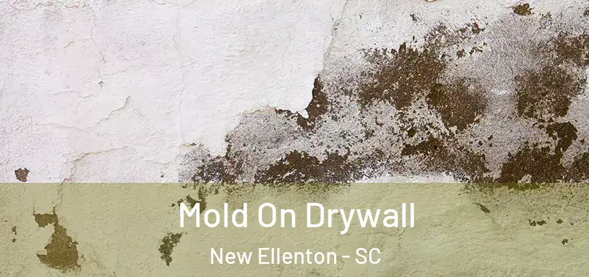 Mold On Drywall New Ellenton - SC