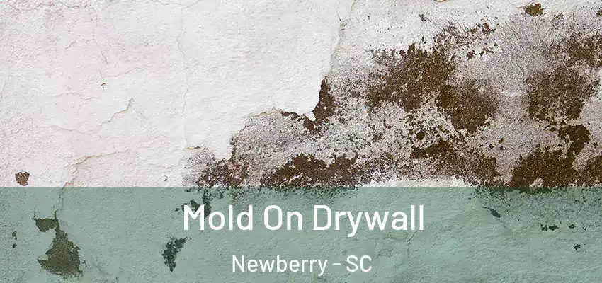 Mold On Drywall Newberry - SC