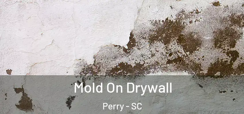 Mold On Drywall Perry - SC