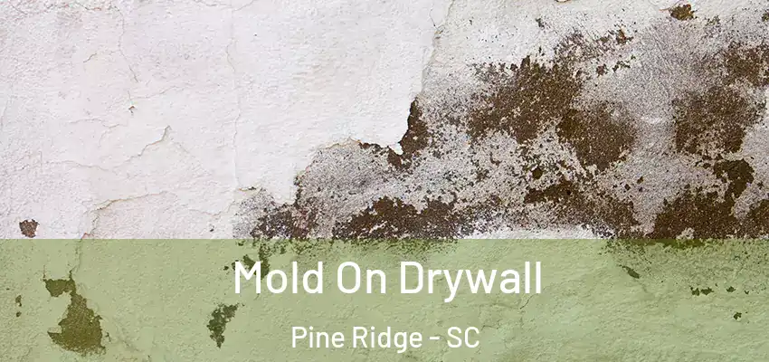 Mold On Drywall Pine Ridge - SC